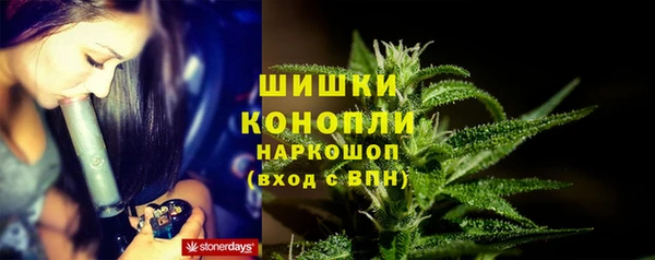 spice Медногорск