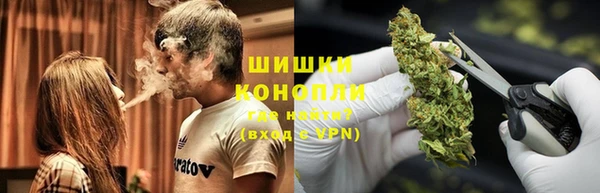 молекула духа Мегион