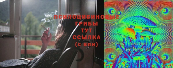 молекула духа Мегион