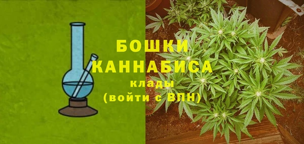 spice Медногорск