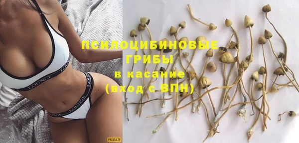 spice Медногорск